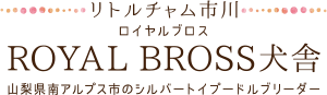 リトルチャム市川