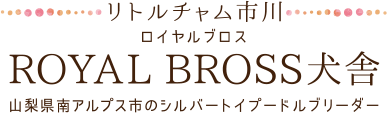 リトルチャム市川