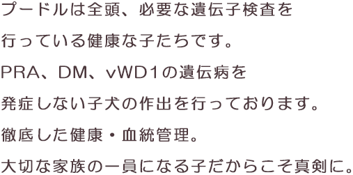 プードルは全頭、必要な遺伝子検査を行っている健康な子たちです。PRA、DM、vWD1の遺伝病を 発症しない子犬の作出を行っております。徹底した健康・血統管理。大切な家族の一員になる子だからこそ真剣に。